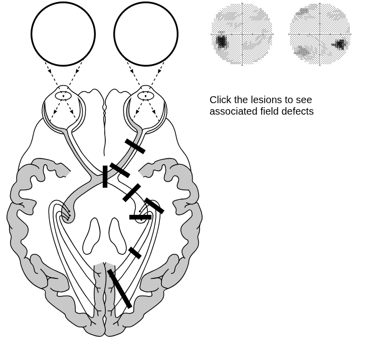 Field Defects
